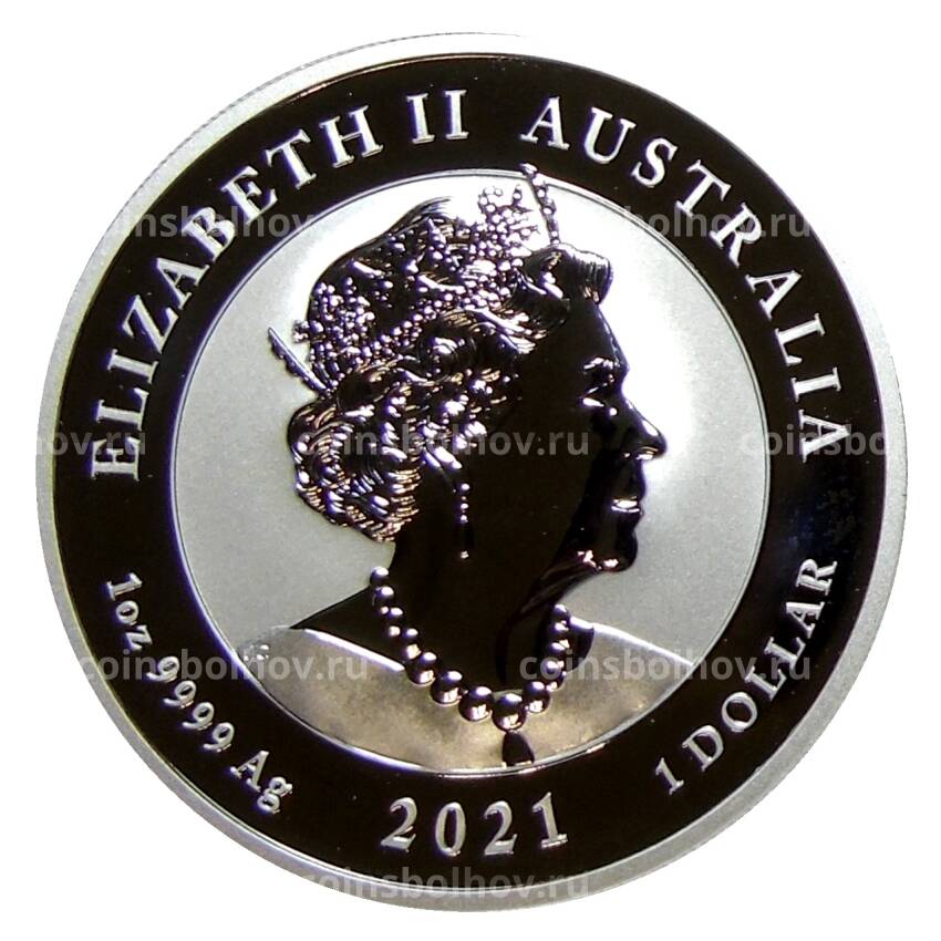 Монета 1 доллар 2021 года Австралия —  Квокка (вид 2)