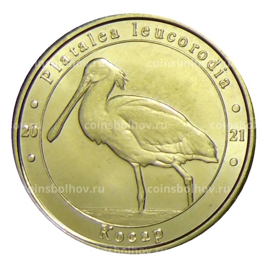 Монета Монетовидный жетон 1 злотник 2021 года Украина  Красная книга — Косар
