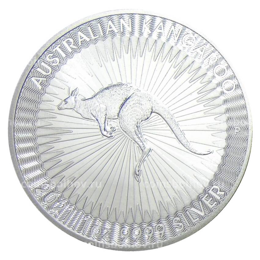 Монета 1 доллар 2021 года Австралия —  Австралийский кенгуру