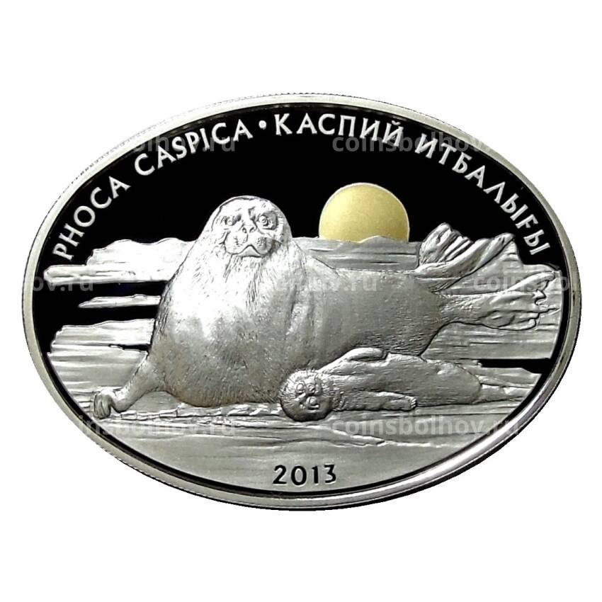 Монета 500 тенге 2013 года Казахстан —  Фауна Казахстана — Каспийский тюлень (в подарочной коробке)
