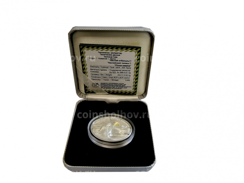 Монета 500 тенге 2013 года Казахстан —  Фауна Казахстана — Каспийский тюлень (в подарочной коробке) (вид 3)