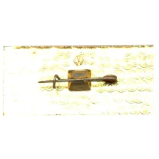 Значок ПО «Свема» (вид 2)