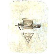 Значок Суздаль (вид 2)