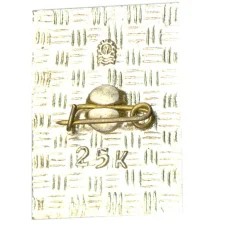 Значок Печенга (вид 2)