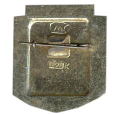 Значок Астрахань — Лебединое озеро (вид 2)