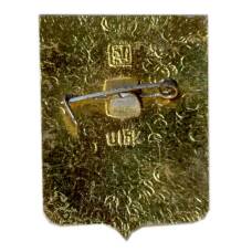 Значок Дорогобуж (вид 2)