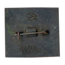 Значок Калуга-1917 (вид 2)