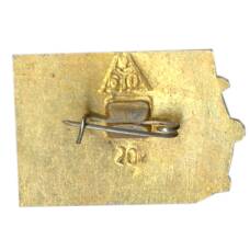 Значок Владимир (вид 2)