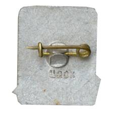 Значок Гомель (вид 2)