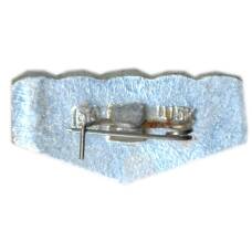 Значок Зеленоградск (вид 2)