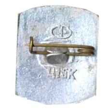 Значок Волгоград (вид 2)