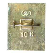 Значок Кострома (вид 2)