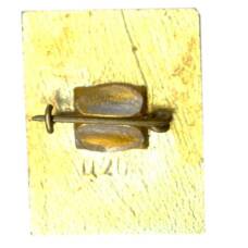 Значок Ярославль (вид 2)