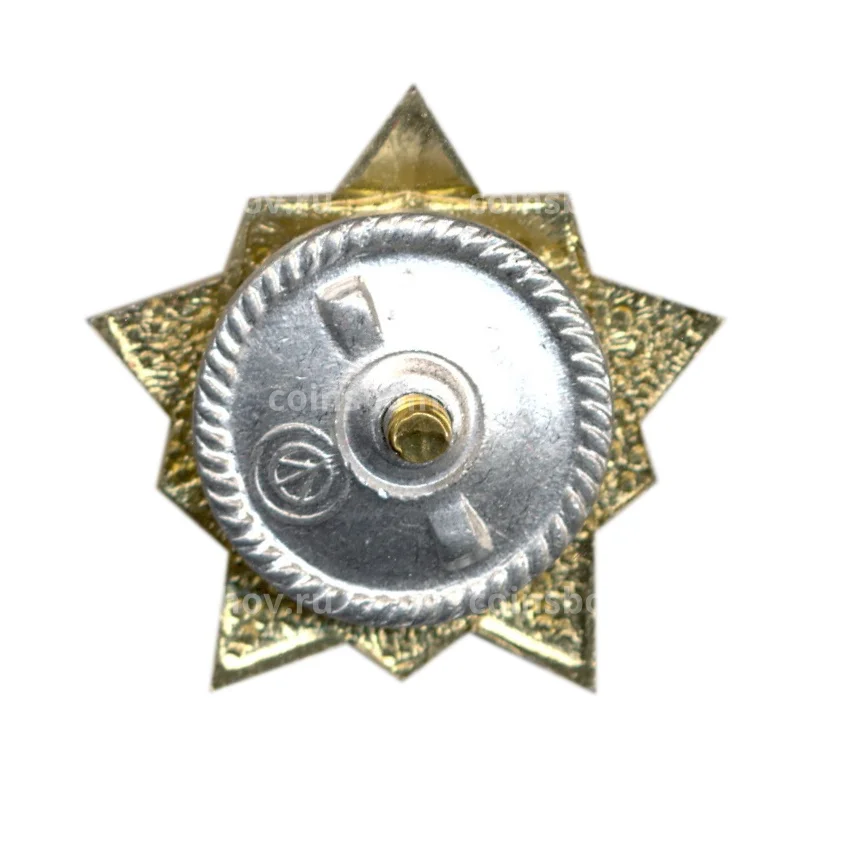 Значок Воин-спортсмен — I ступень (вид 2)