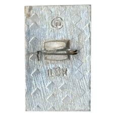 Значок Горький (вид 2)