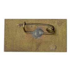 Значок Карпаты (вид 2)