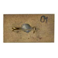 Значок Ессентуки (вид 2)