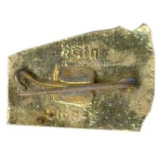 Значок Алма-Ата (вид 2)