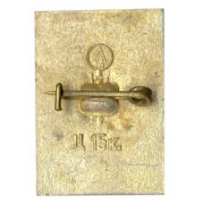 Значок Петродворец (вид 2)