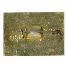 Значок Пятигорск (вид 2)