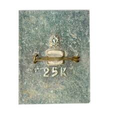 Значок Кола (вид 2)