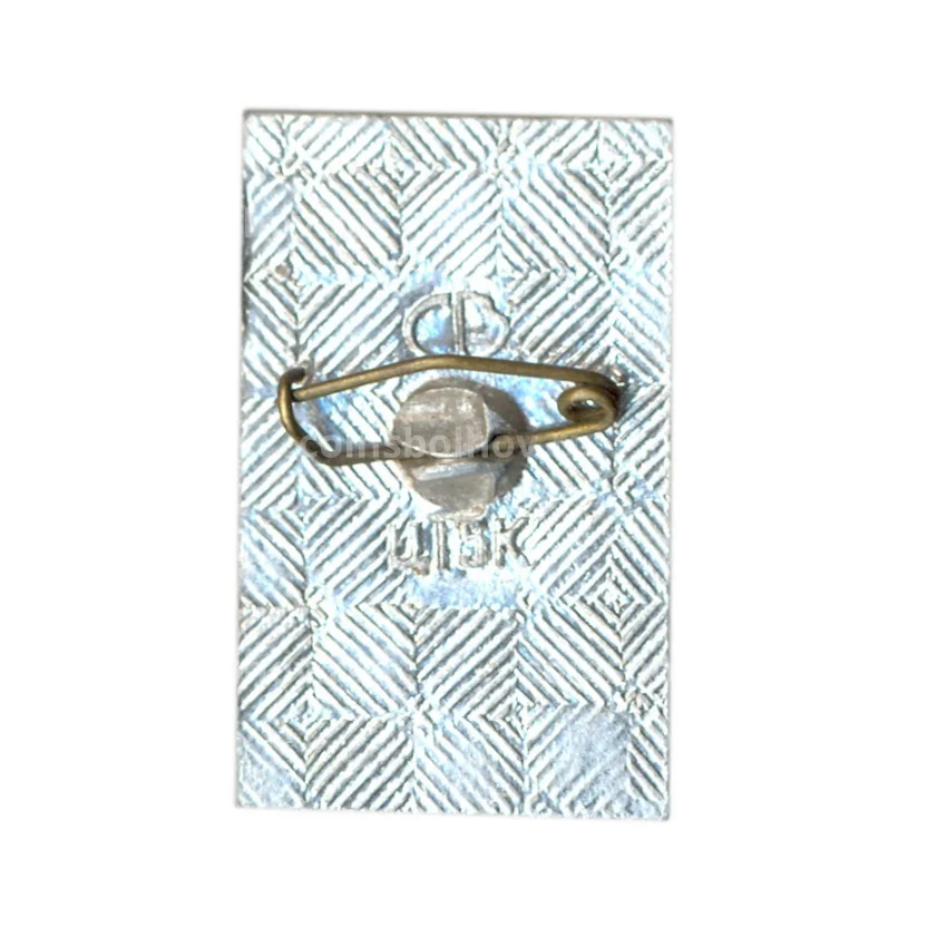 Значок  Волгоград - Слава (вид 2)