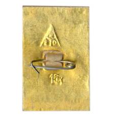 Значок Юрьев — Польский (вид 2)