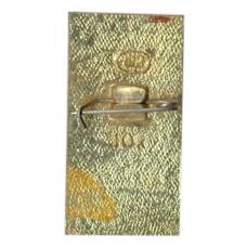 Значок Звенигород (вид 2)