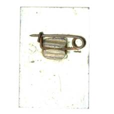 Значок Теберда (вид 2)