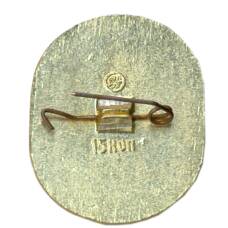 Значок П.И.Чайковский (вид 2)