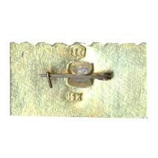 Значок Мемориал «Могила неизвестного солдата» (вид 2)