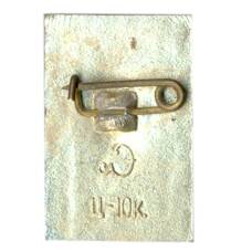 Значок Петродворец (вид 2)