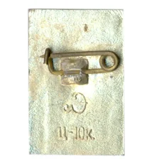 Значок Петродворец (вид 2)