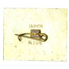 Значок Домик Лермонтова (вид 2)