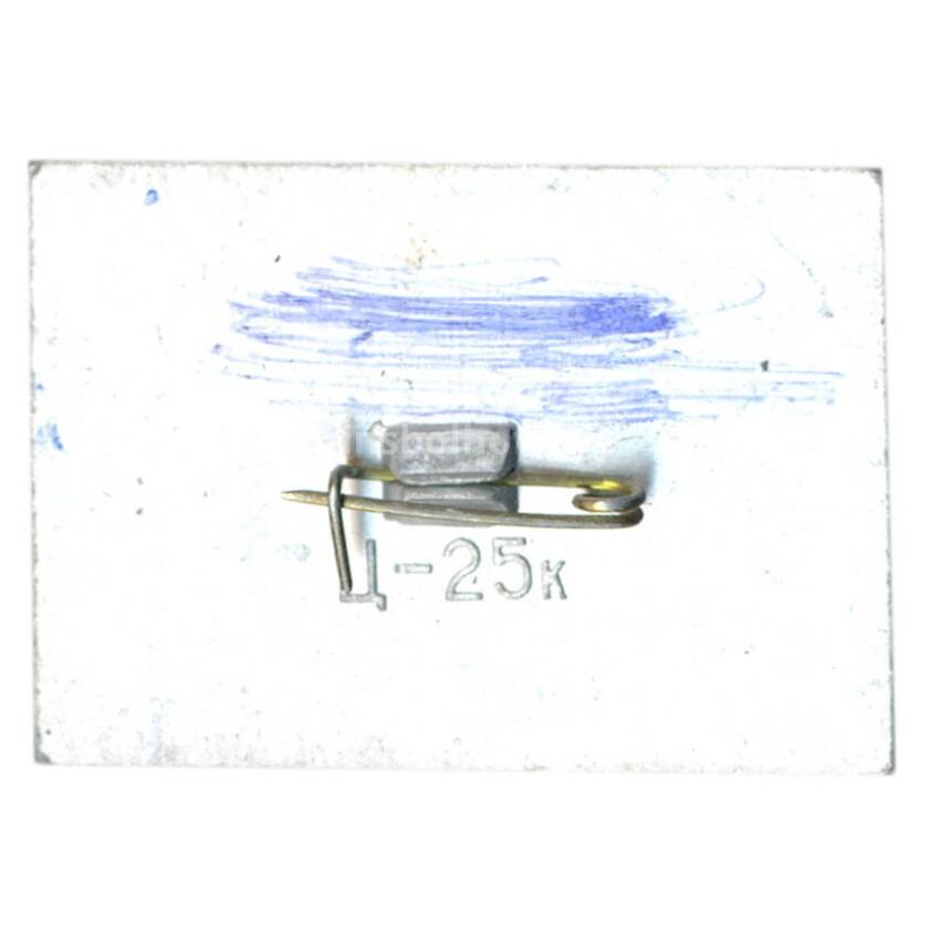Значок «Марка на значках — Современные средства доставки почты» (вид 2)