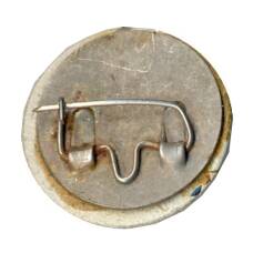 Значок Казань (вид 2)