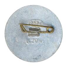 Значок Ростов — на — Дону (вид 2)