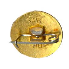 Значок Ростов — на — Дону (вид 2)