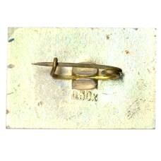 Значок Иркутск (вид 2)