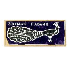 Значок Зоопарк — павлин (аверс)