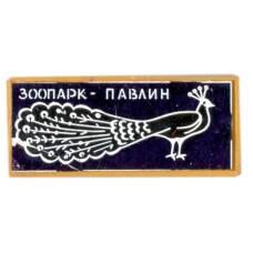 Значок Зоопарк - павлин (аверс)