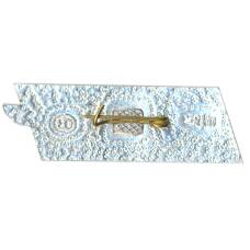 Значок  Днепр (вид 2)