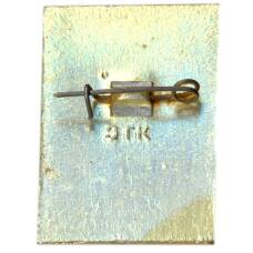 Значок Владимир (вид 2)