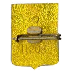 Значок Симферополь (вид 2)