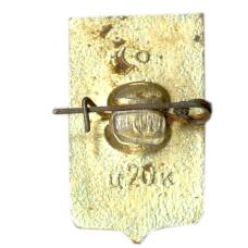 Значок Пошехонье (вид 2)