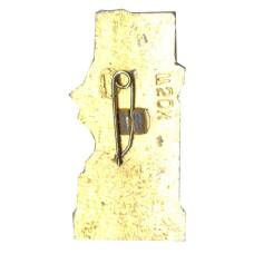 Значок Ростов на Дону — памятник А.С.Пушкину (вид 2)