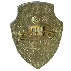 Значок Музей истории Корсунь-шевченковской битвы (вид 2)