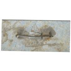 Значок Владимир (вид 2)