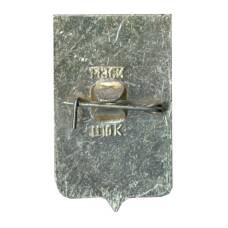 Значок Копейск (вид 2)