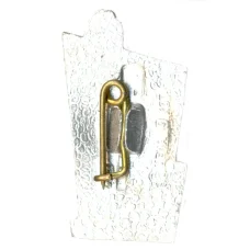 Значок Петродворец (вид 2)